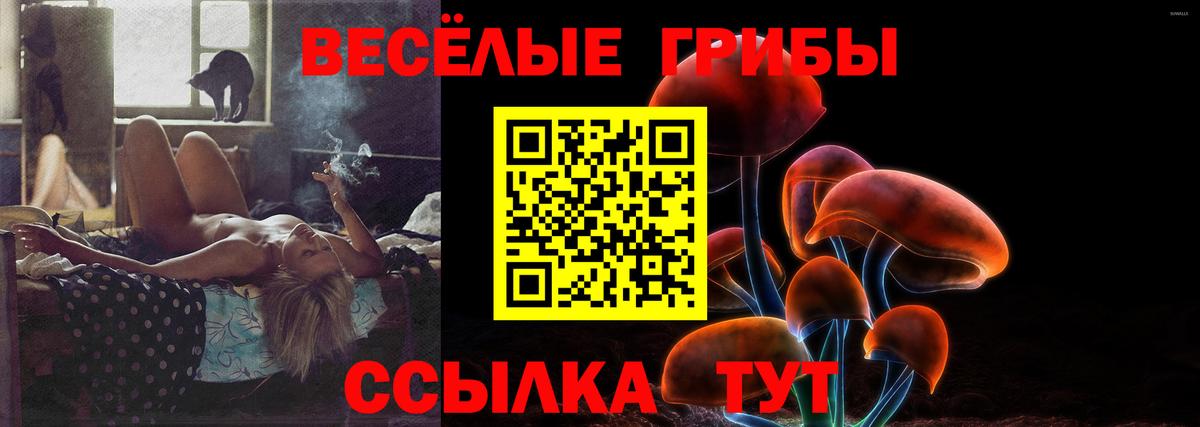 Псилоцибиновые грибы мицелий  Вход с VPN  Ижевск  где продают наркотики  Галлюциногенные грибы мухоморы 