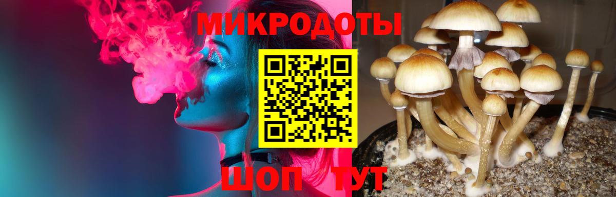 Галлюциногенные грибы мицелий Ижевск